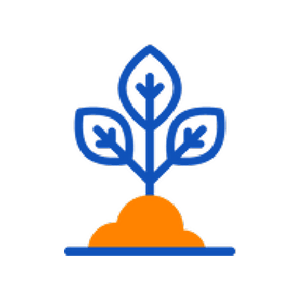 Innovation and growth